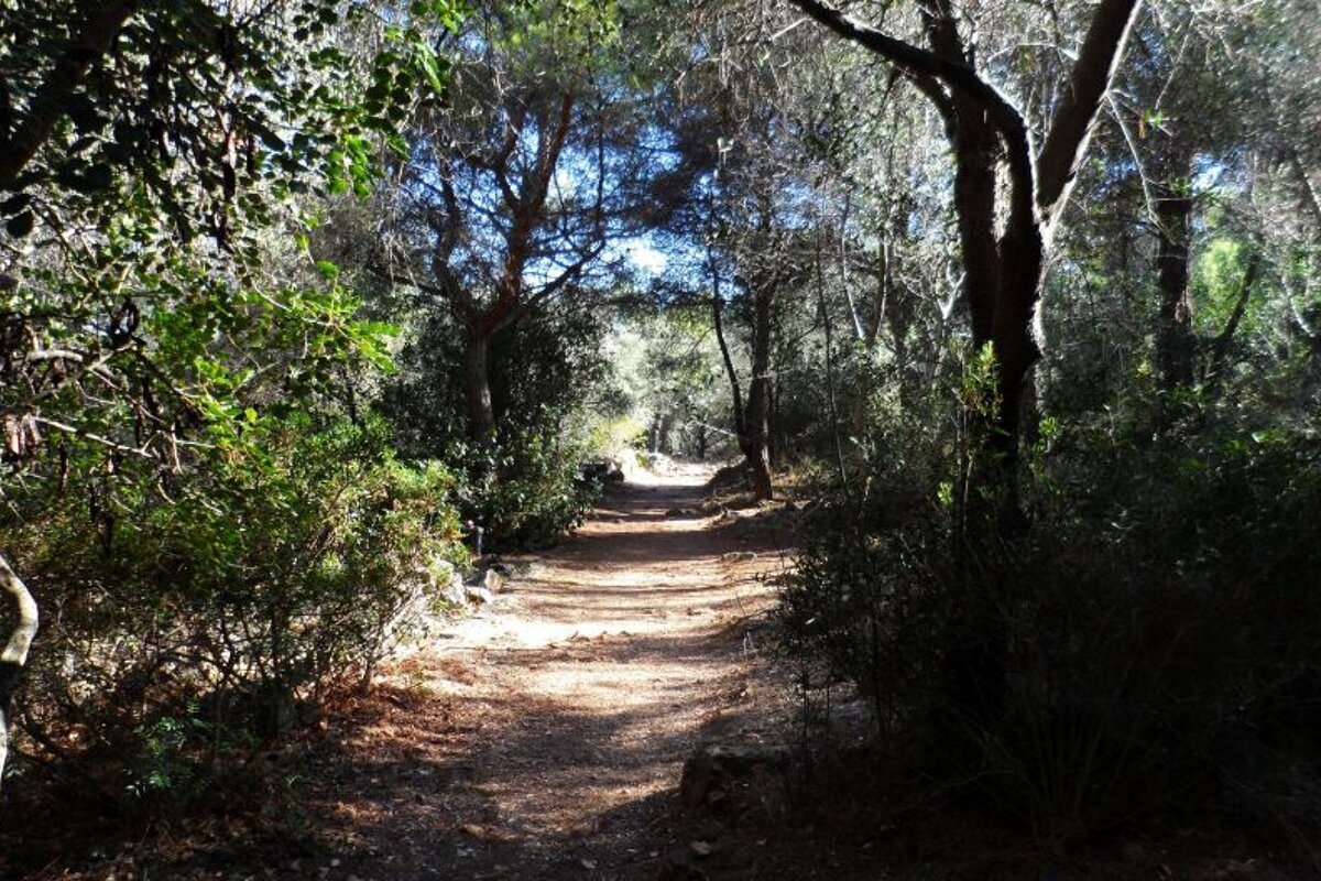 Parc du Mont Boron, Nice