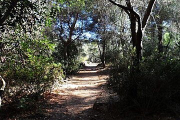 Parc du Mont Boron, Nice