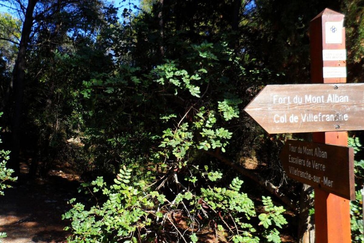 Parc du Mont Boron, Nice