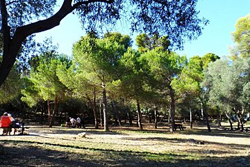 Parc du Mont Boron, Nice