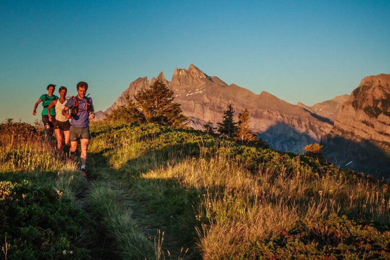 tree runners on a mountain trail