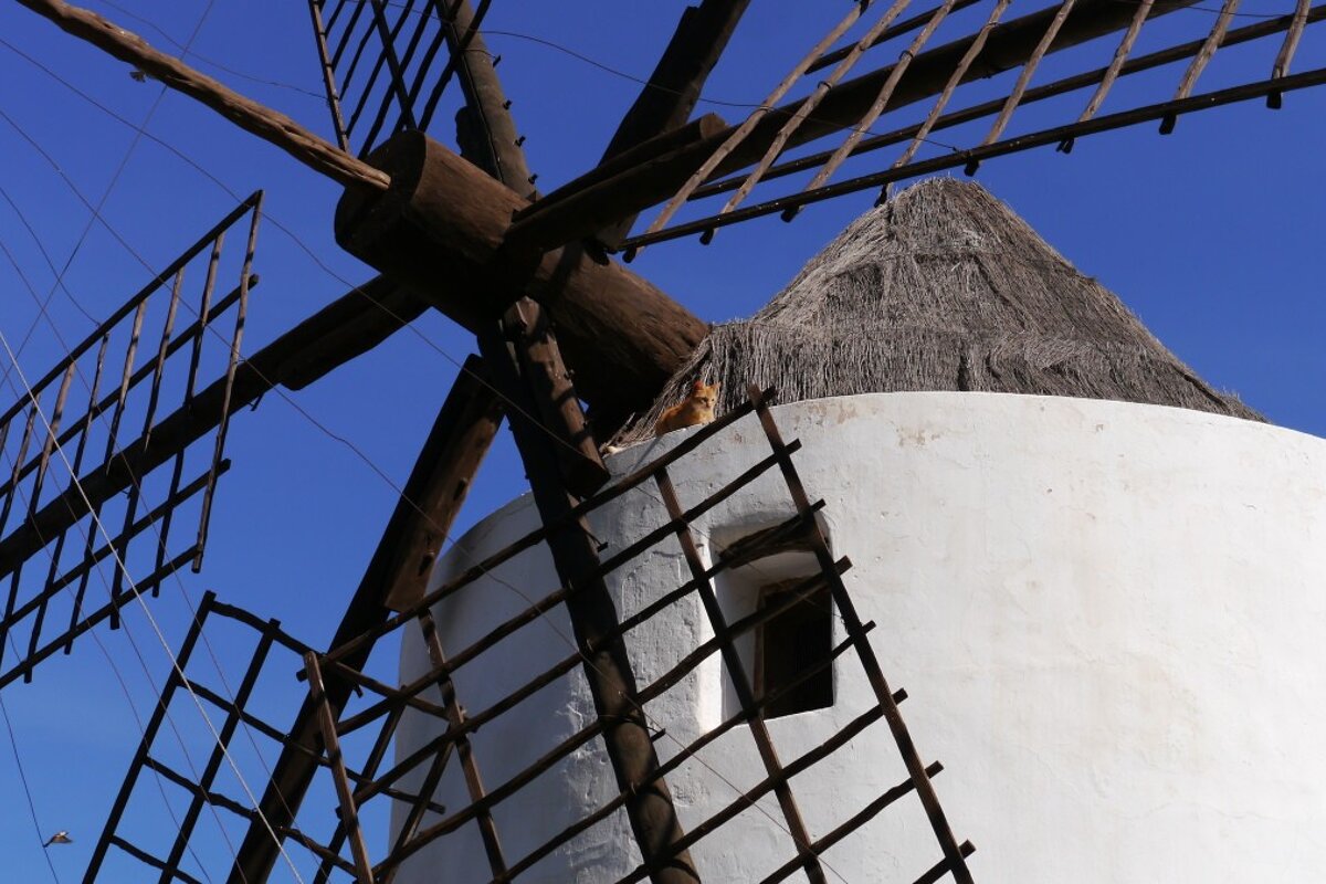 Beautifully restored windmill at Puig d'en Valls Ibiza