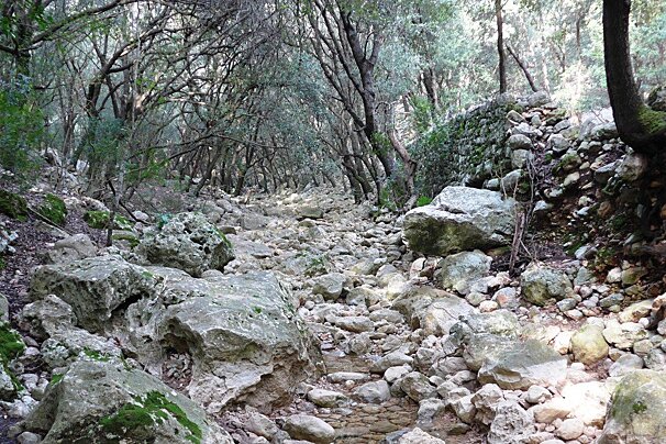 A walk along the riverbank in Ses Fonts Ufanes