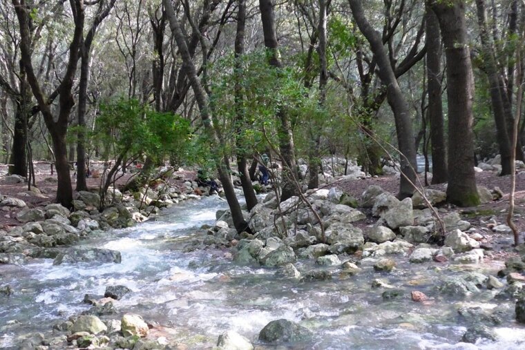 A walk along the riverbank in Ses Fonts Ufanes