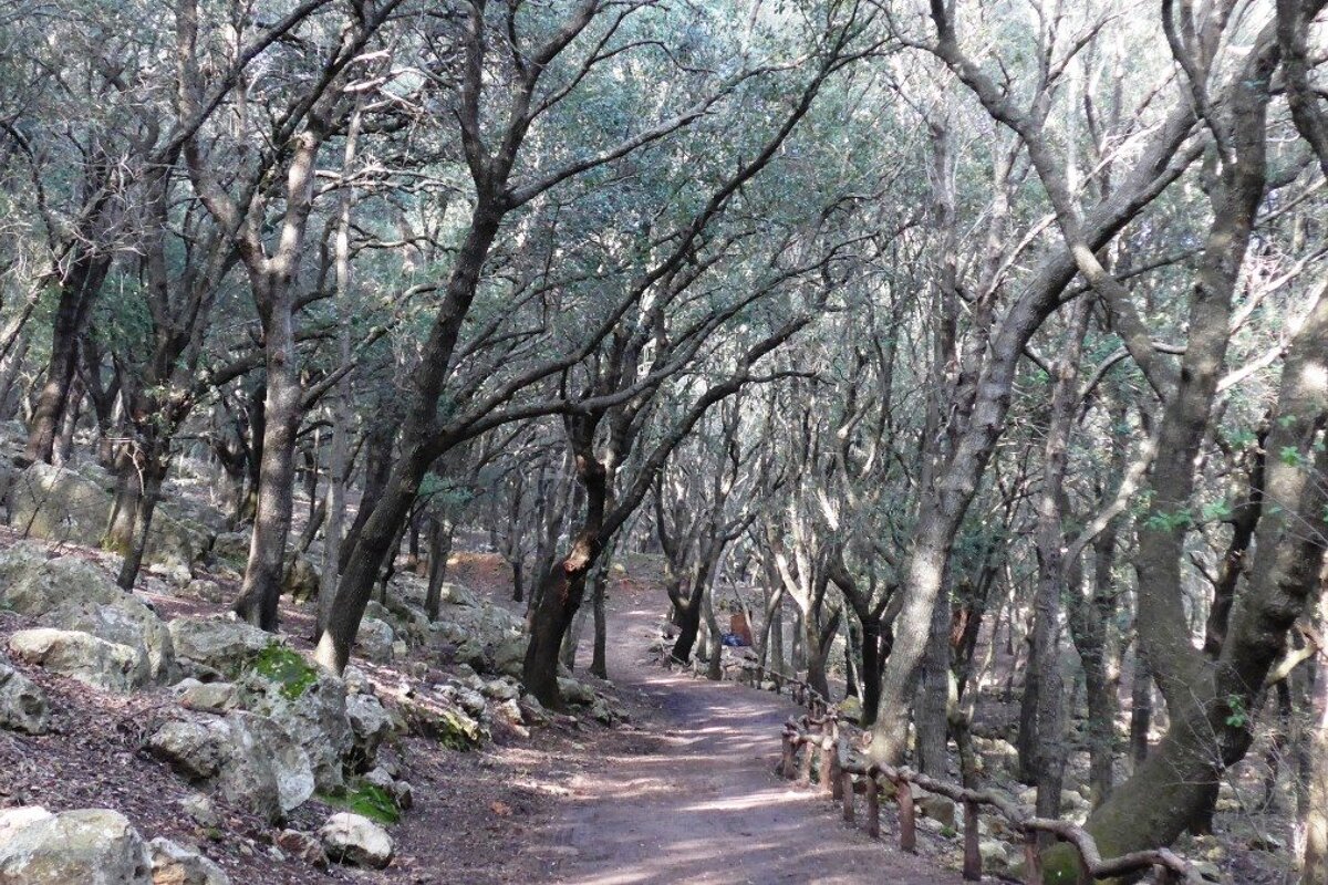 A walk along the riverbank in Ses Fonts Ufanes