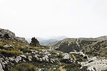 A mountain landscape with trees and rocks in the foreground