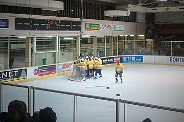 ice hockey players in yellow crowd the goal