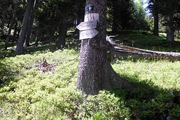 Vallorcine to Refuge de Loriaz, Vallorcine walking