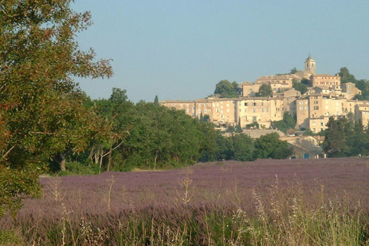 lavender fields near an old town