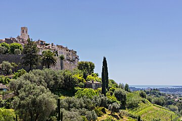 A small town sits on top of a hill surrounded by trees