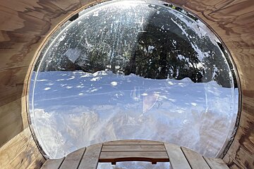 A view of a snowy forest through a glass window