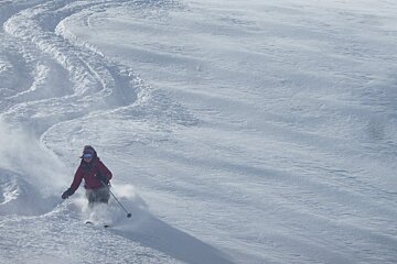 a woman in a purple jacket