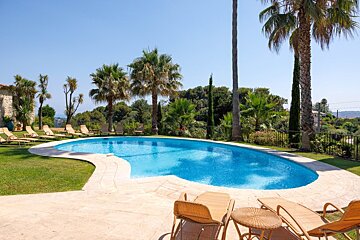 A large swimming pool surrounded by chairs and palm trees