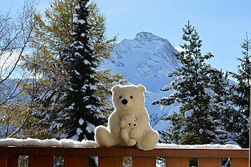 Two teddy bears are sitting on a railing in front of a snowy mountain