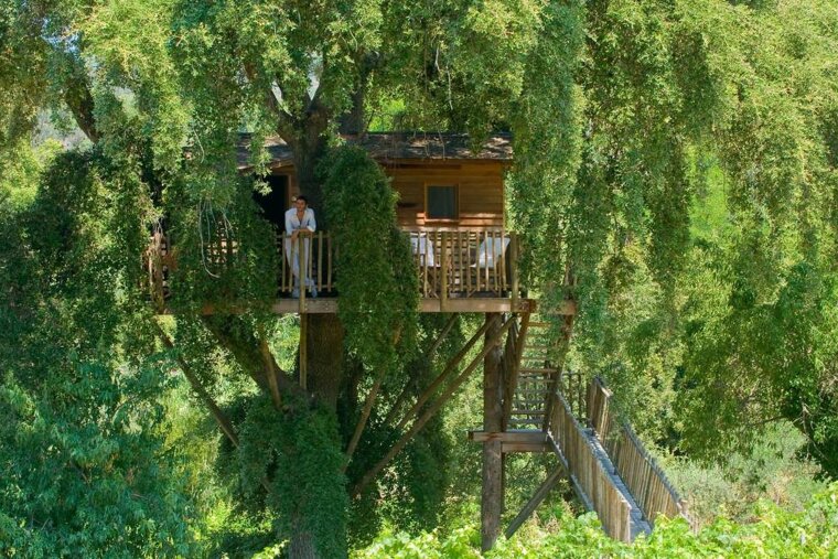 man in a treehouse in saint tropez