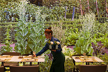 Orto Restaurant, Milan - Centre restaurant