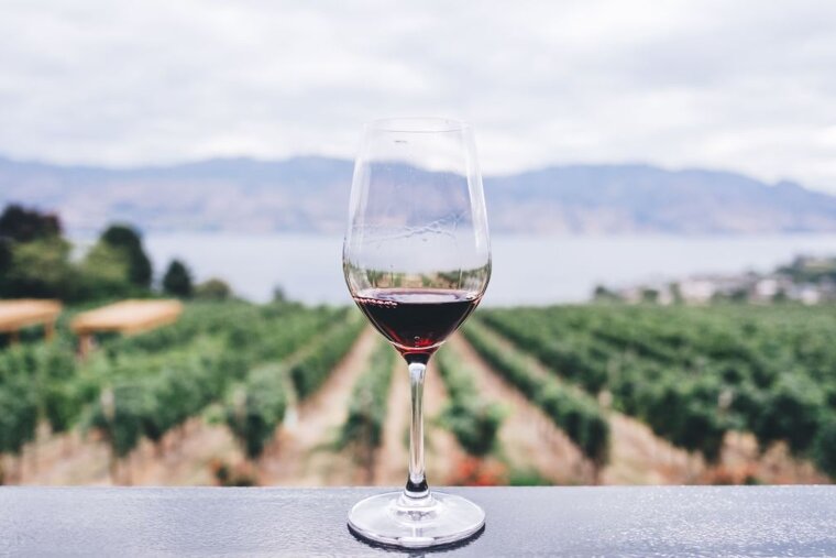 Top vineyards to visit in Ibiza & Formentera in 2019