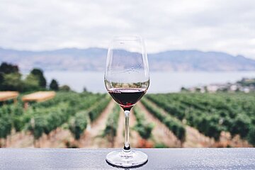 Top vineyards to visit in Ibiza & Formentera in 2019