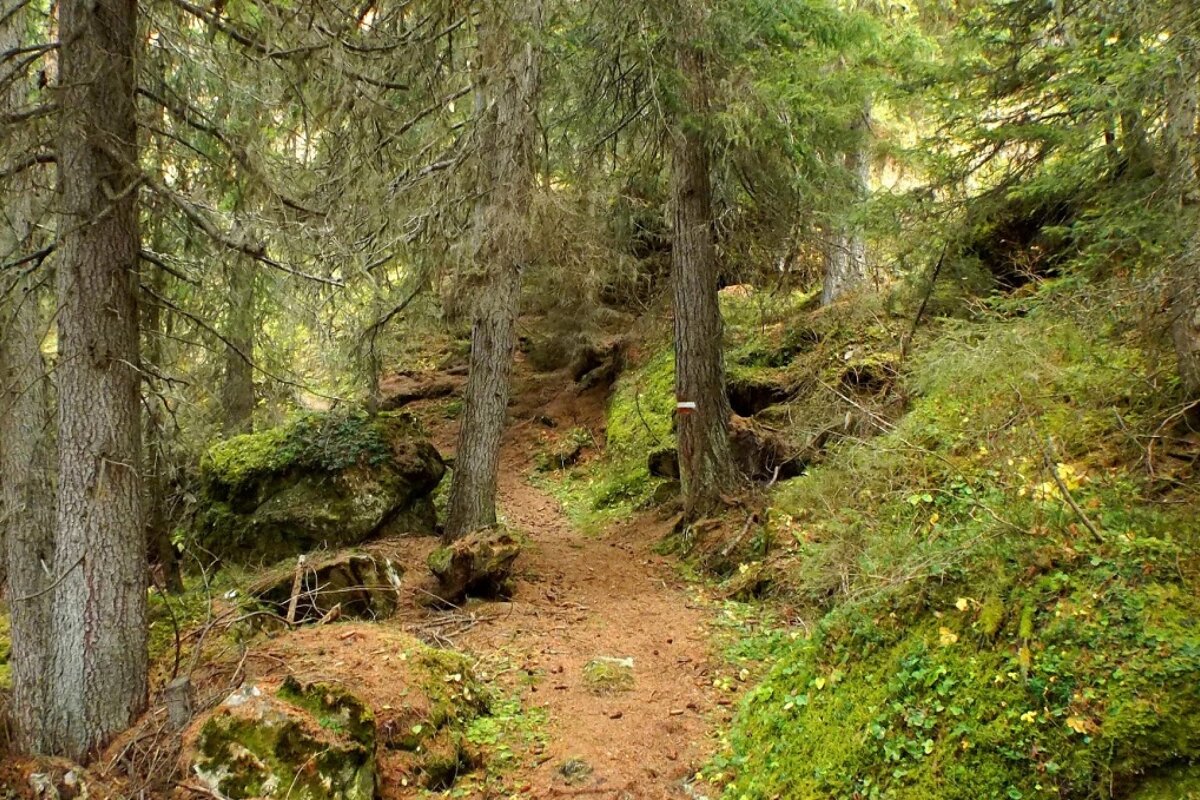 a walking path near tignes