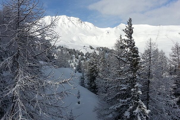 ESF - Snowshoeing, La Plagne