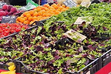 Fresh salad ingredients