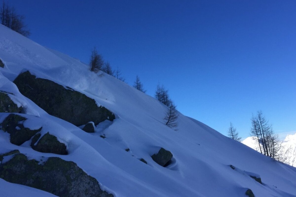 a skier hidden by powder snow