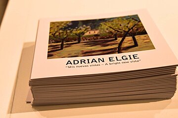 Mis Nuevas Vistas Art Exhibition at Rialto Living 2017 Review