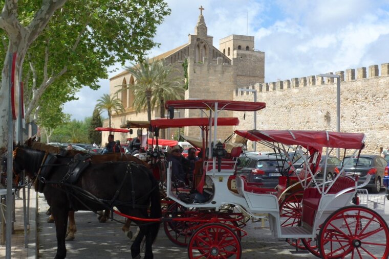Alcudia's intact roman wall