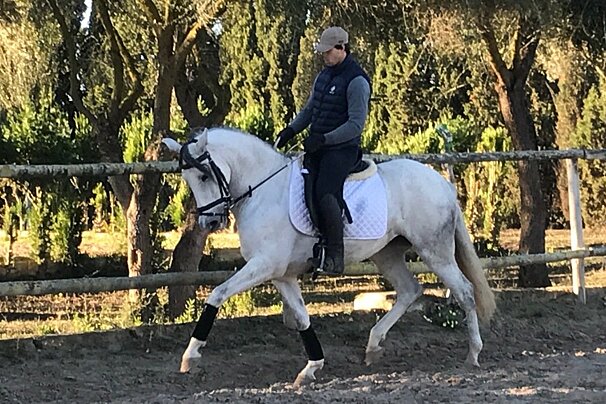 A la Carte Program, Mallorca horse riding