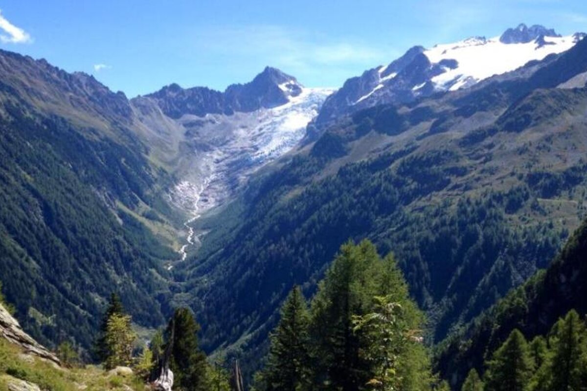 A valley with trees and mountains in the background