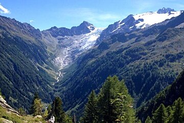 A valley with trees and mountains in the background