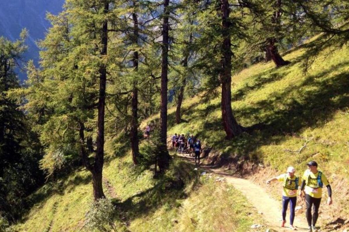 A group of people are walking down a path in the woods