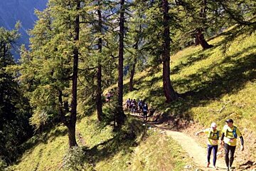 A group of people are walking down a path in the woods