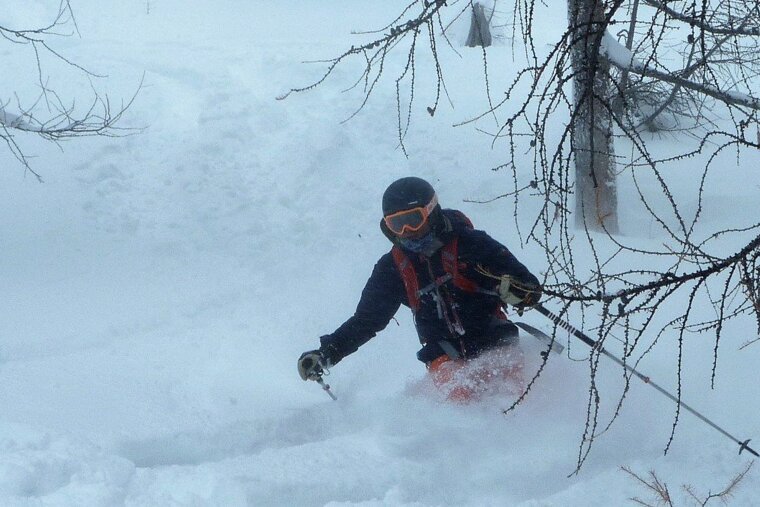 a skier in the trees in val disere