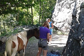 a horse and come climbers