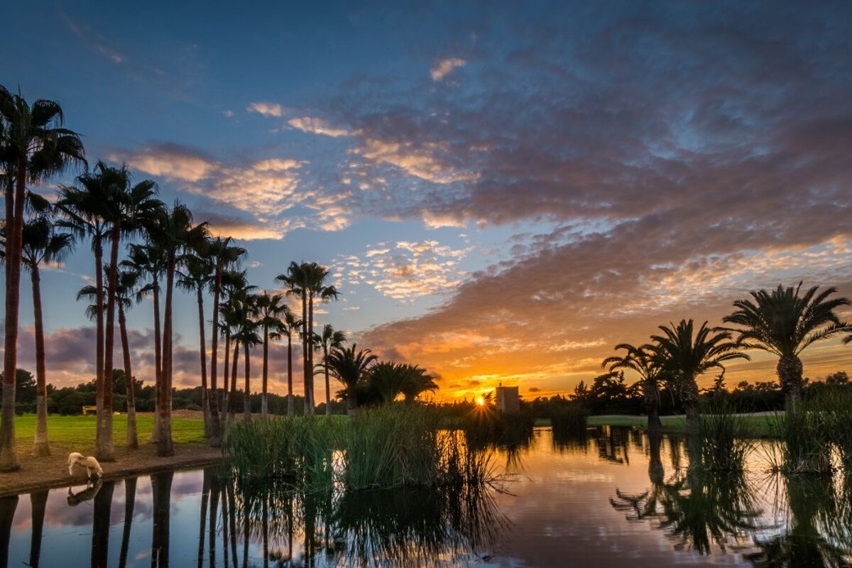 T Poniente Golf Course, Calvia