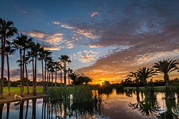 T Poniente Golf Course, Calvia