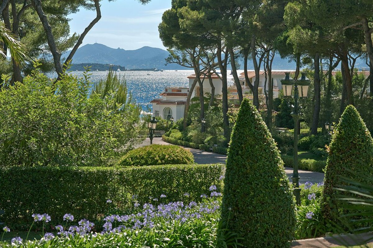 A view of the ocean from a garden with trees and bushes
