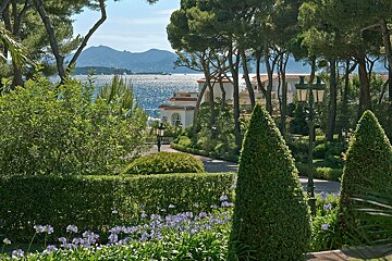 A view of the ocean from a garden with trees and bushes