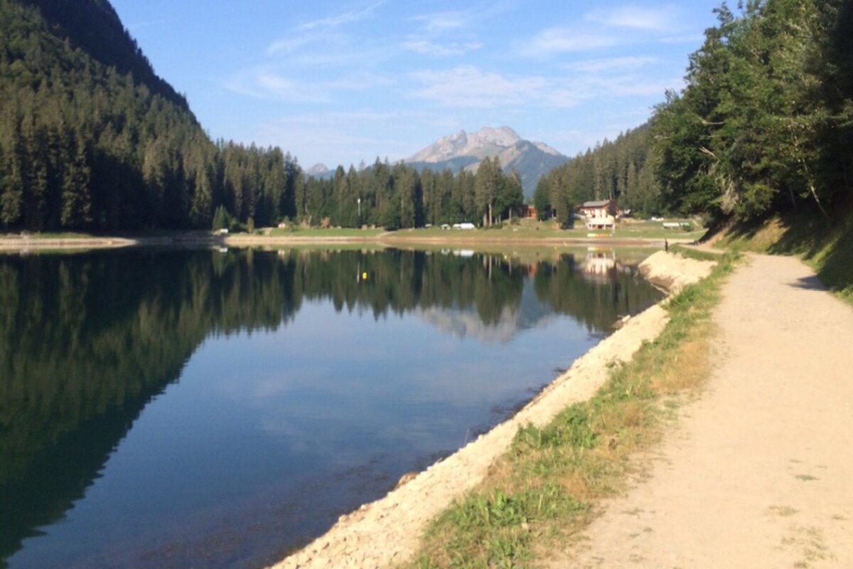 A path leading to a lake with mountains in the background