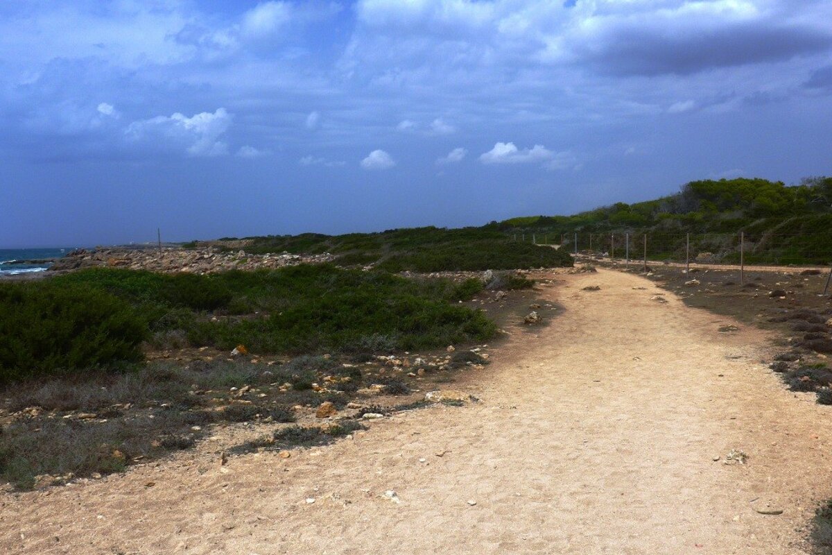 a sandy path on the coastline of mallorca