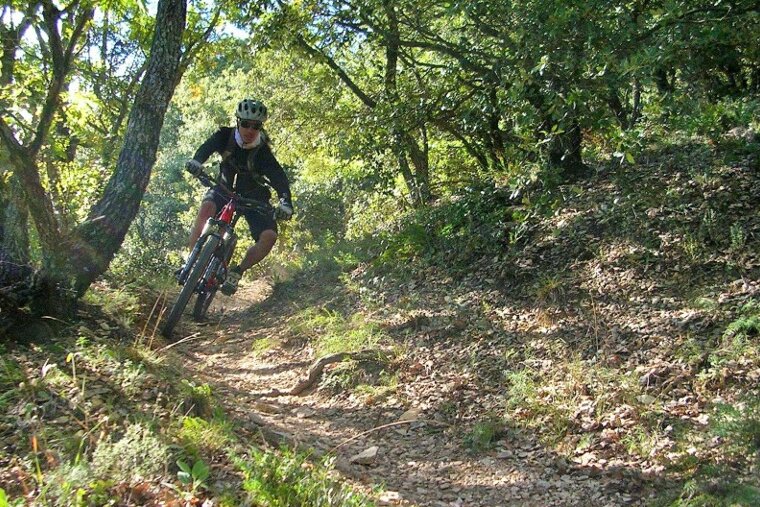 About Mountain Biking in Provence mountain biker