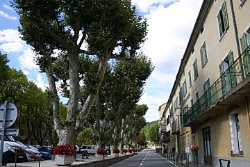 Annot