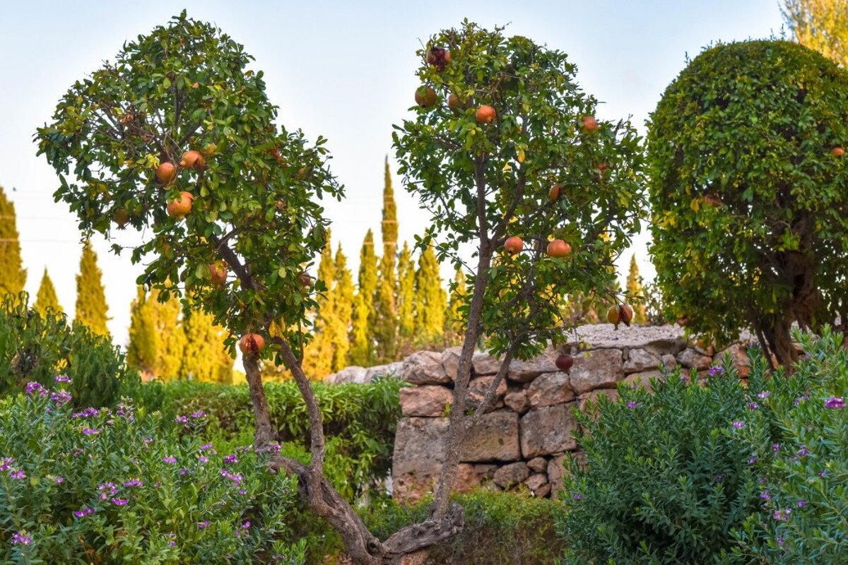 Las Bovedas Restaurant Review, Llucmajor