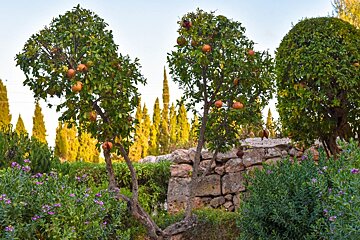 Las Bovedas Restaurant Review, Llucmajor