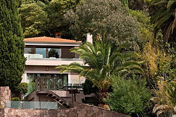 A house with a balcony and stairs surrounded by palm trees