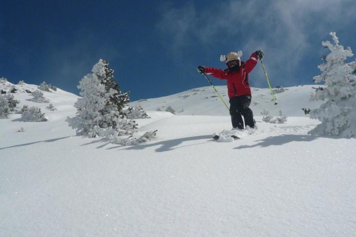 Snow d'Light Mountain Guides, 