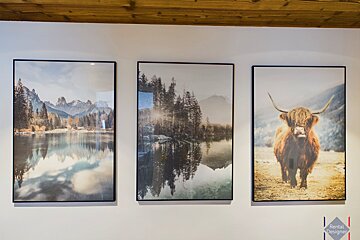 Three framed pictures on a wall one of which is of a cow