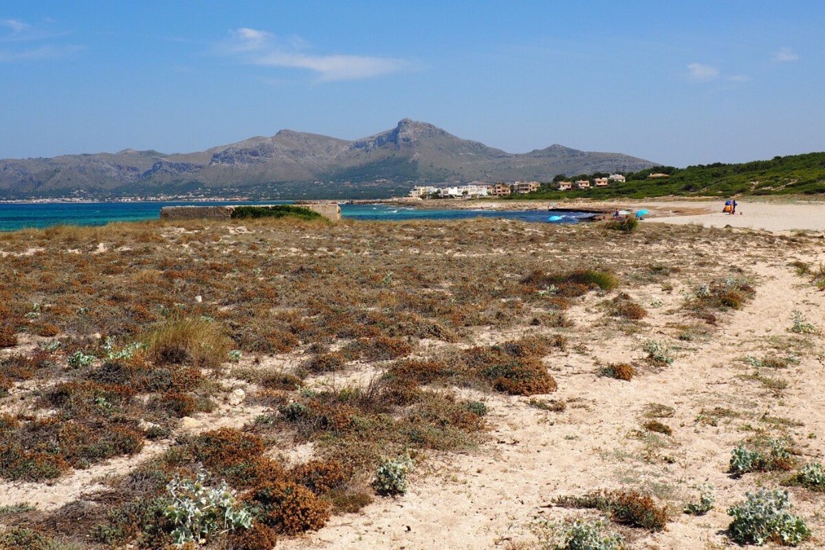 a small marina in the distance on a walk