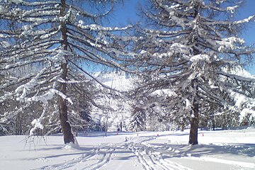 Beginner skiing in Les Arcs winter 2017/18